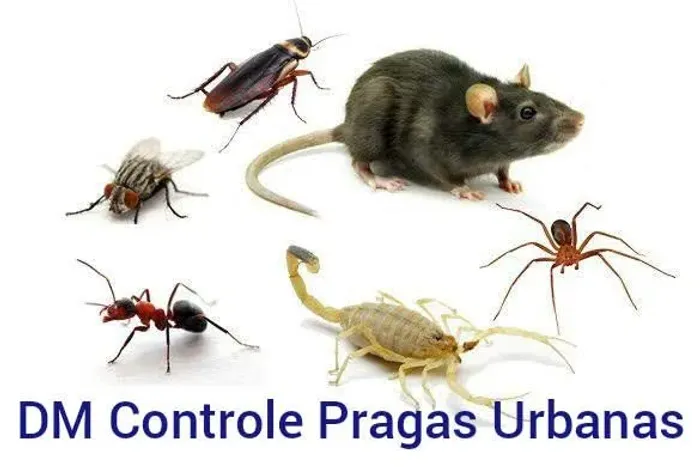 Dedetização profissional, residencial e comercial (86)9. *