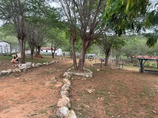 Valor de Super OPORTUNIDADE! FAZENDA 197hectares para VENDA - Municipio de CACIMBA DE DENT