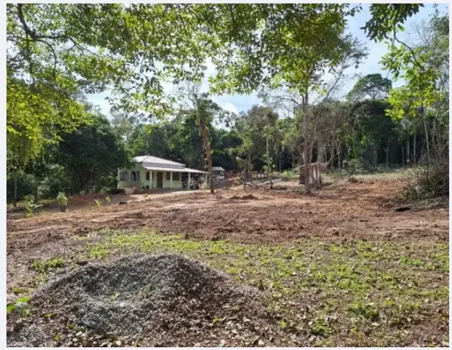 Sítio produtivo com excelente localização - São Vicente de Paula, Araruama - Rj.