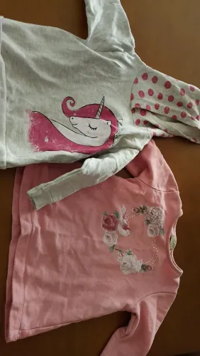 Blusas de frio