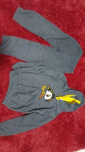Conjunto de Moletom Infantil (inverno) Tigor Tigre nr 10