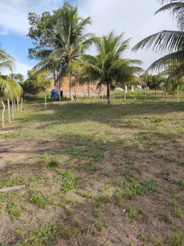 Vendo lotes a 5km de Imbassai Linha verde