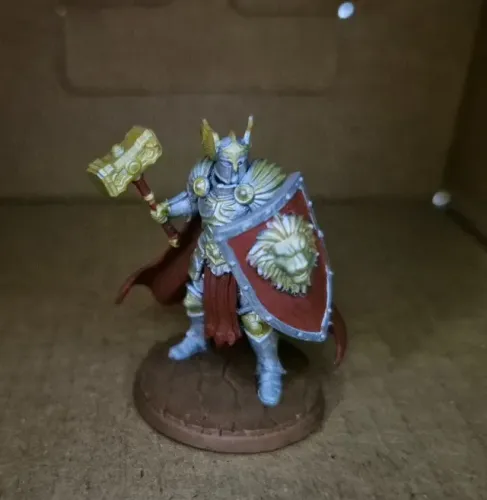 Kit de 5 Miniaturas d&d Pintadas.