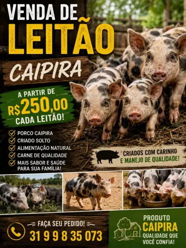 Porco caipira