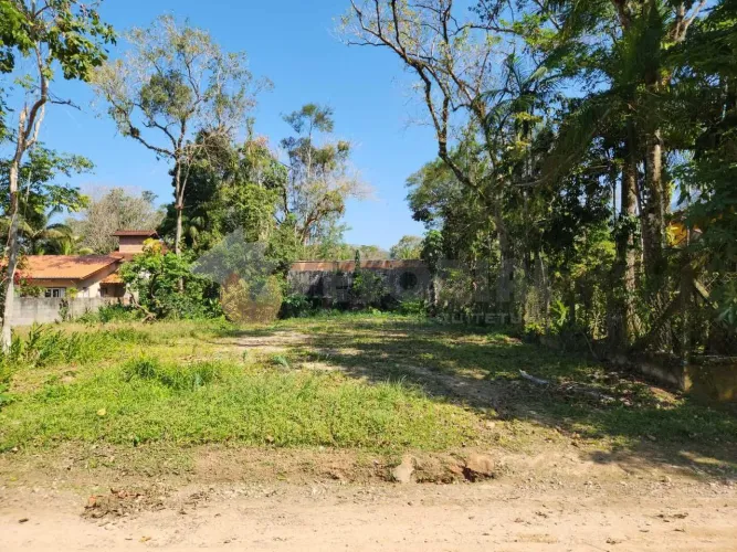 Terreno à venda, 384 m² por R$ 350.000,00 - Massaguaçu - Caraguatatuba/SP