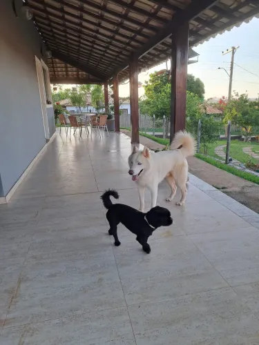 Lindo sitio em condomínio fechado