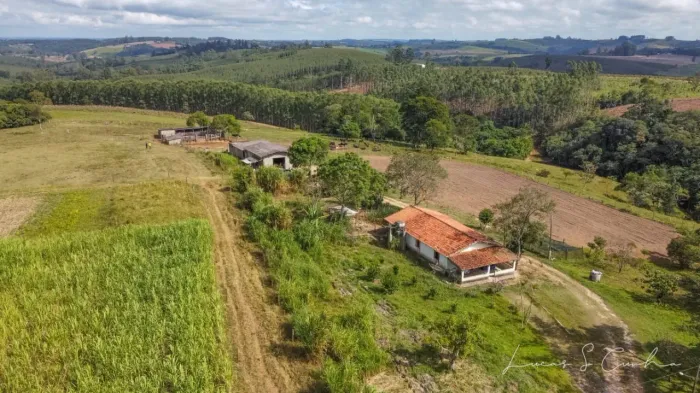 Sítio 10 Alqueires, Porteira Fechada, Dois Trator, 40 Cabeça de Búfalo, 2 Casas, 1 Barracã