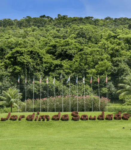 JAZIGO PERPÉTUO - JARDIM DA SAUDADE | SETOR I