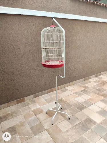 Gaiola Piu Piu para calopsita
