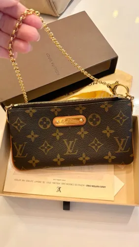 Bolsa Louis Vuitton