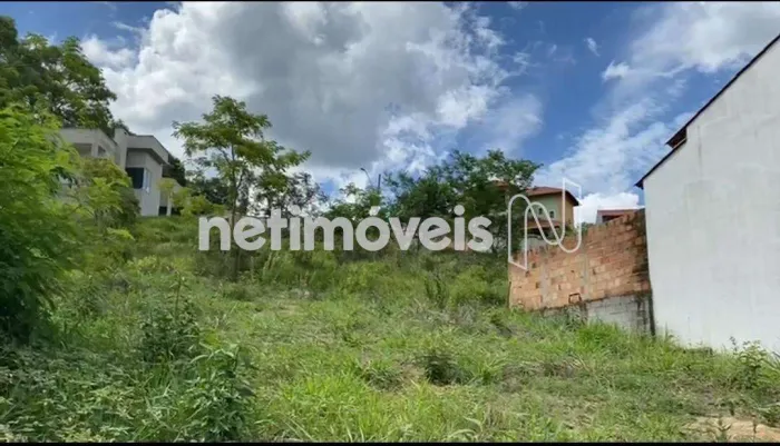 Venda Lote-Área-Terreno Sonho Verde Florestal