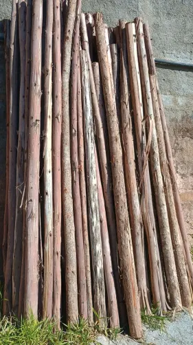 Vendo pontaletes de eucalipto usado em excelente estado, tamanho 3mts. Preço imbatível 
