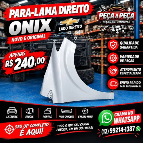 Paralama onix