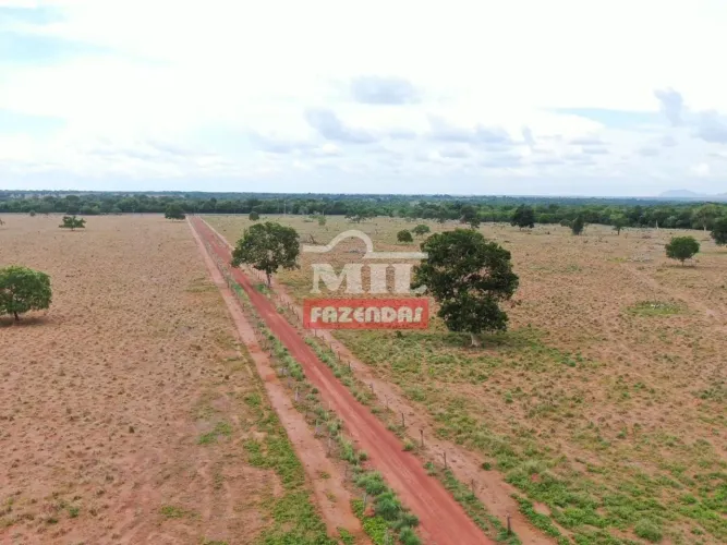 Fazenda em Novo Planalto - Goiás. (95 Alqueires)