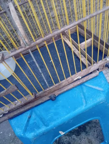 Vendo essa gaiola conservada 