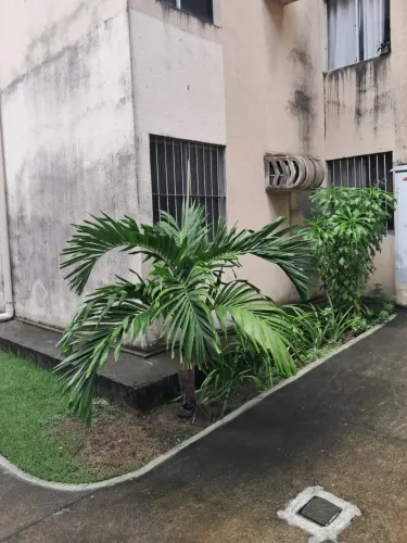 Apartamento à venda no BOSQUE DOS FLAMBOIÃES, BENEDITO BENTES, Maceió, AL