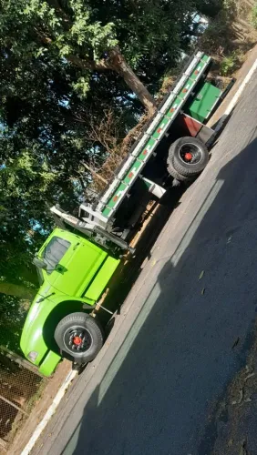 Vendo caminhão sapão ou troco