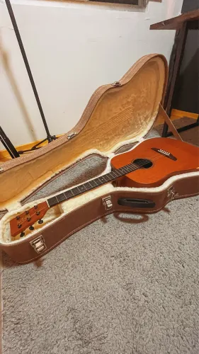 Violão Rozini Custom Folk RX340