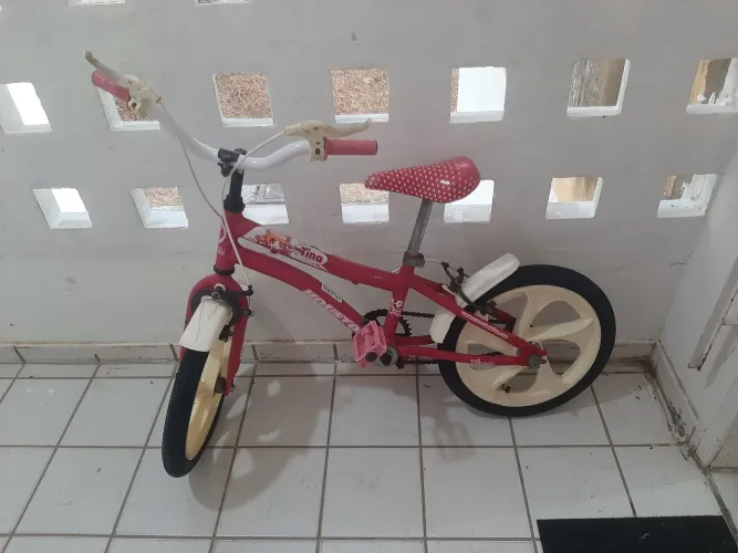 Bicicleta Infantil Tina