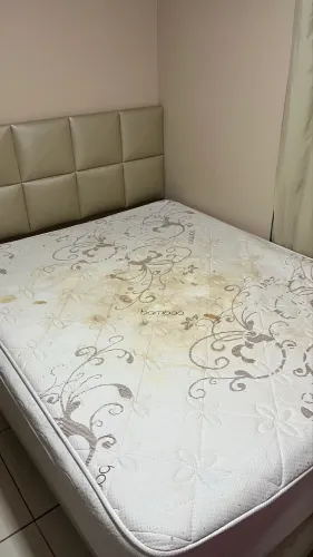 Cama queen 