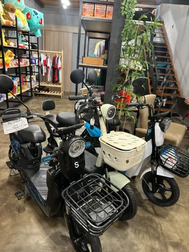 ? SCOOTERS ELÉTRICAS ?