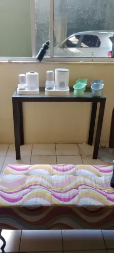 Comedoro de gatos