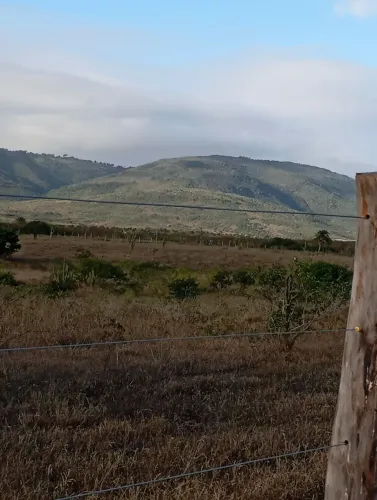 Pedreiro disponível 