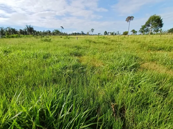 TERRA A VENDA