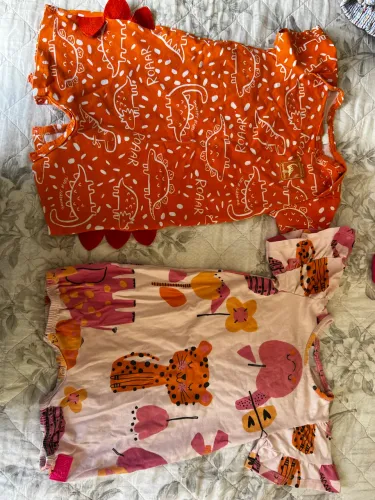 Lote de Roupas Bebê Menina 12 a 24 Meses - Ótimo Estado 