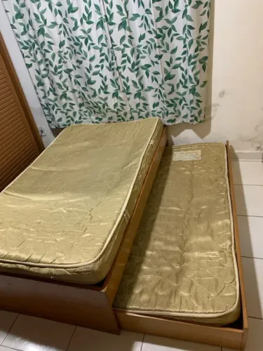 Bicama de viúvo 