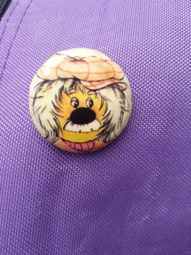 Botão de Coleção - O Ursinho