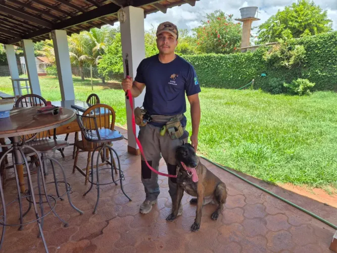 Adestrador de Cães