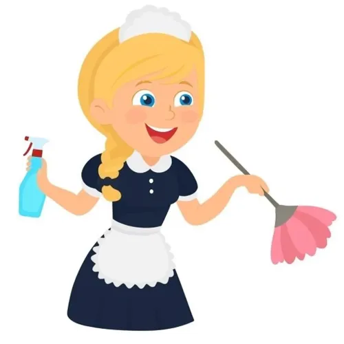 Doméstica, faxineira, diarista, folguista