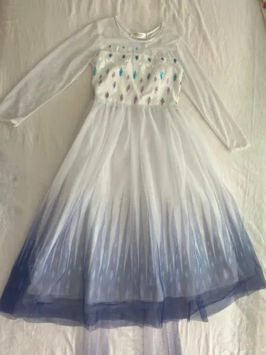 Vestido ( Fantasia) Elza - Filme: Frozen 2. - 8 e 9 anos. 