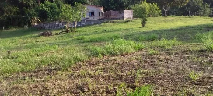 Casa na Boa Vista do Tapará (várzea)