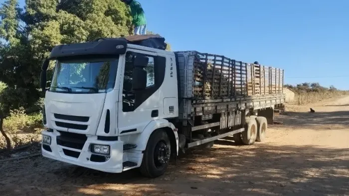 Caminhão Iveco Tector