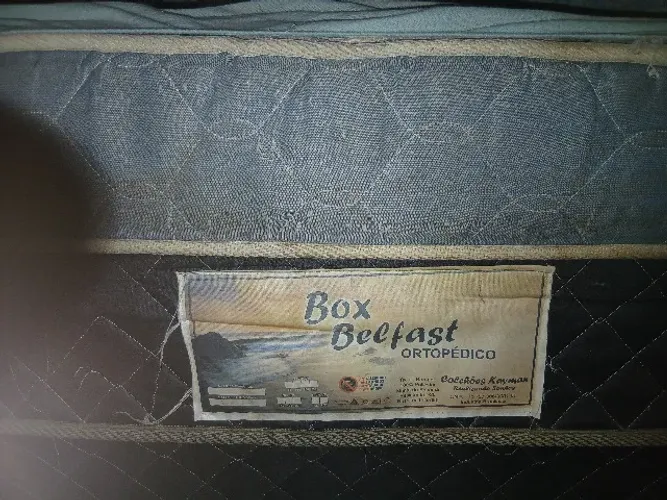 Box Belfast Ortopédico + colchão D27