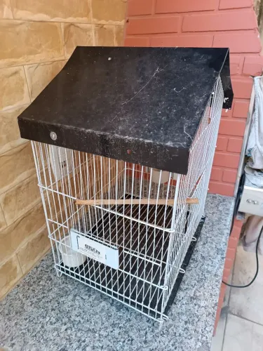 Gaiola para Agapornes