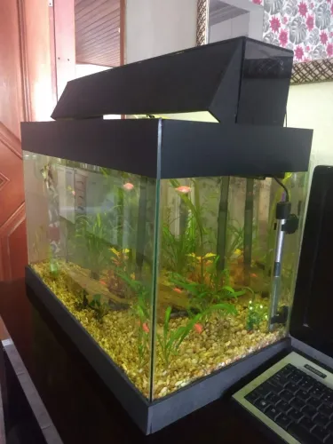 Aquário 72L 