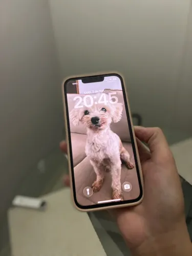 iPhone 13 128gb com caixa e nota fiscal com 100% da bateria, bateria trocada 