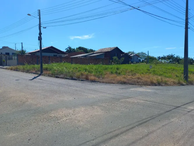 Lote linha Anta