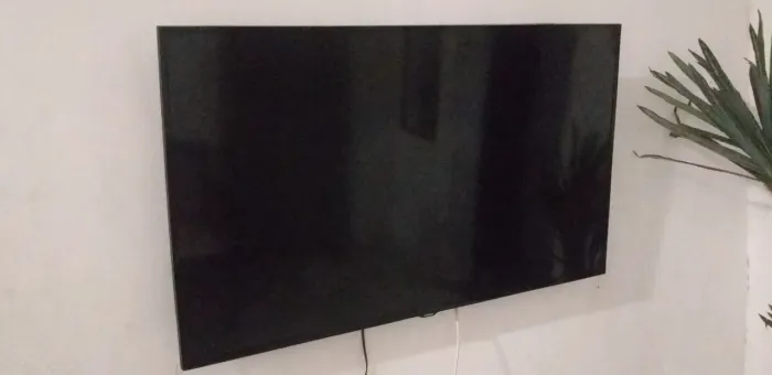 Samsung 48.