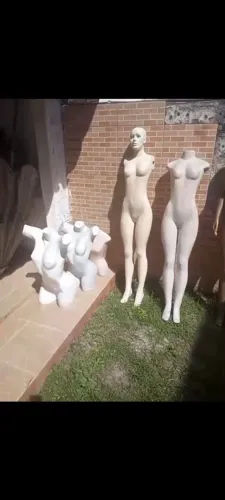 Intens de loja
