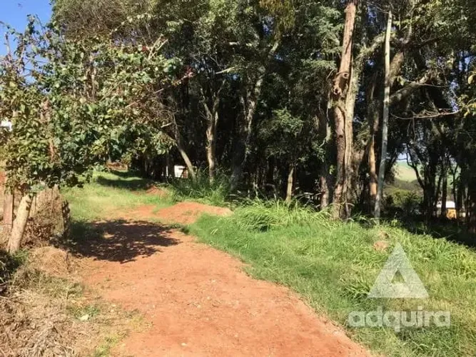 Terreno à Venda 1716m², Centro, Carambeí - Pr