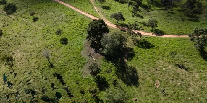 Fazenda A Venda Regiao Estrela do Norte/camoinorte