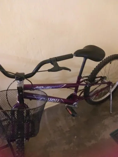Bicleta aro 24