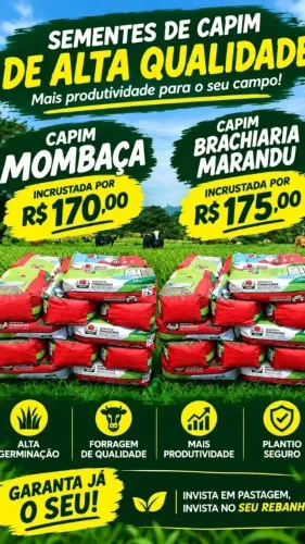 Sementes de capim!