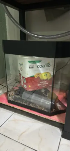 Aquario 80 litros