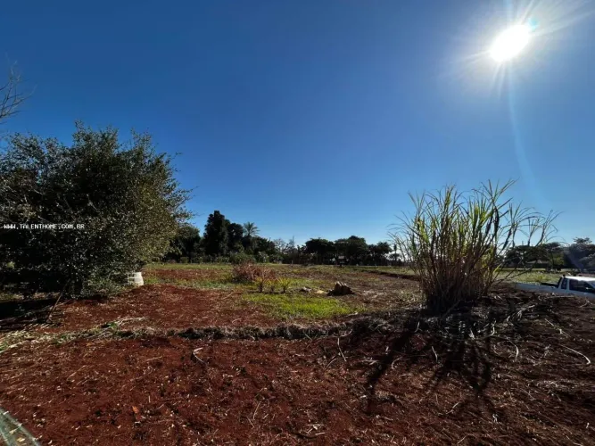Área Rural para Venda em Londrina, RURAL
