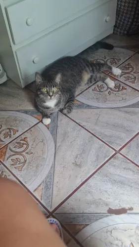 DOAÇÃO RESPONSÁVEL